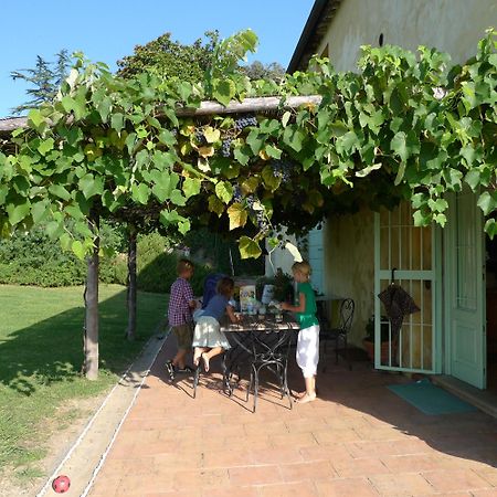 Azienda Agricola Fabbrica Di San Martino 루카 외부 사진