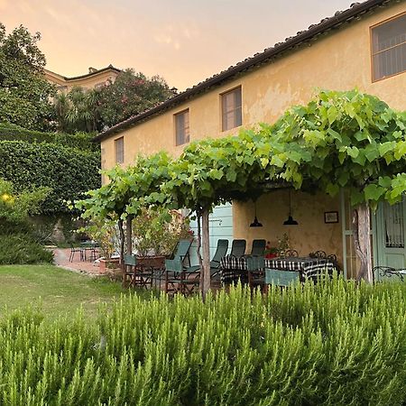 Azienda Agricola Fabbrica Di San Martino 루카 외부 사진