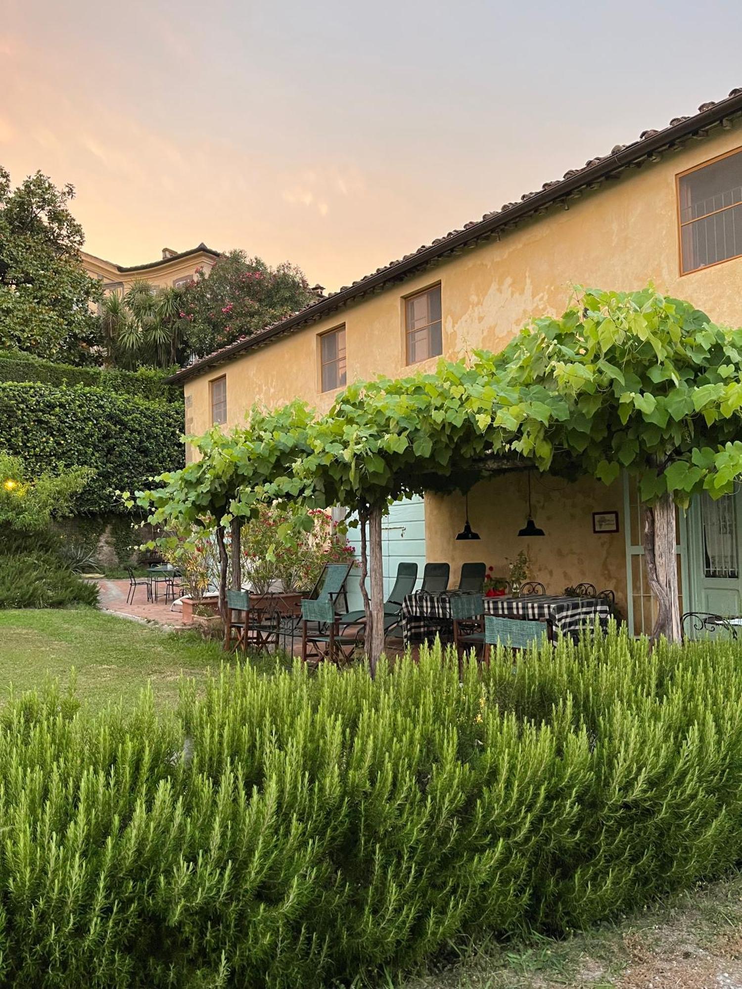 Azienda Agricola Fabbrica Di San Martino 루카 외부 사진
