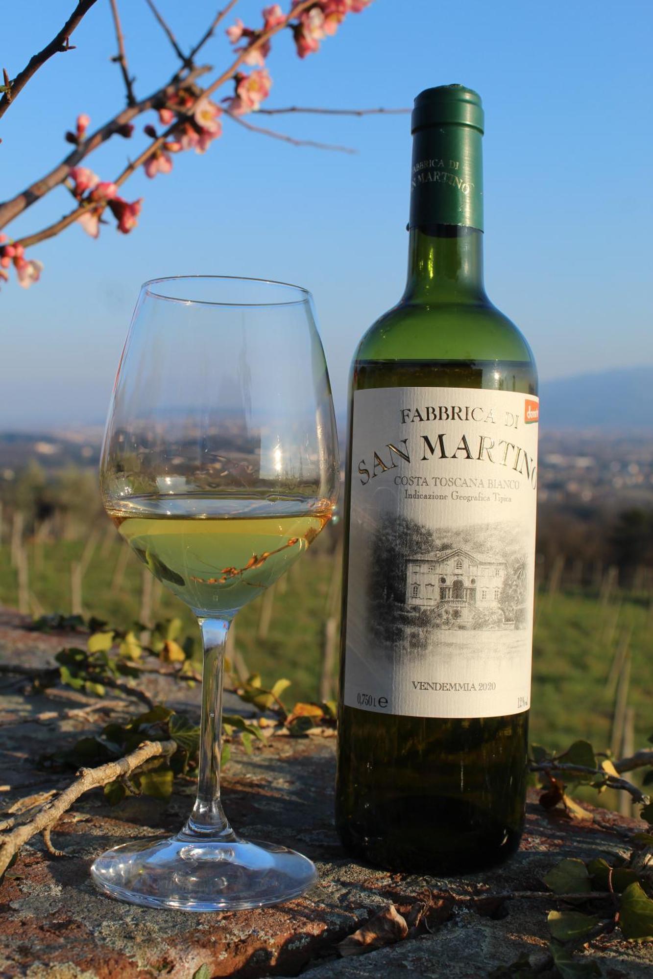 Azienda Agricola Fabbrica Di San Martino 루카 외부 사진