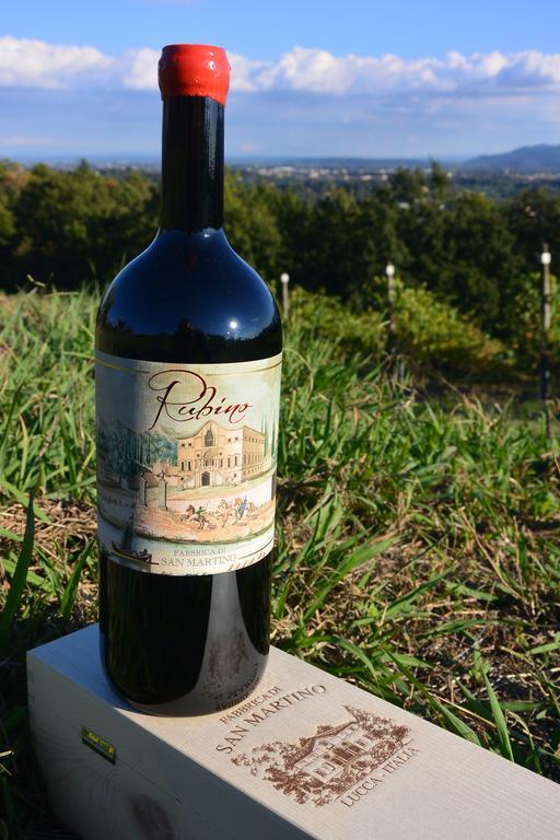Azienda Agricola Fabbrica Di San Martino 루카 외부 사진